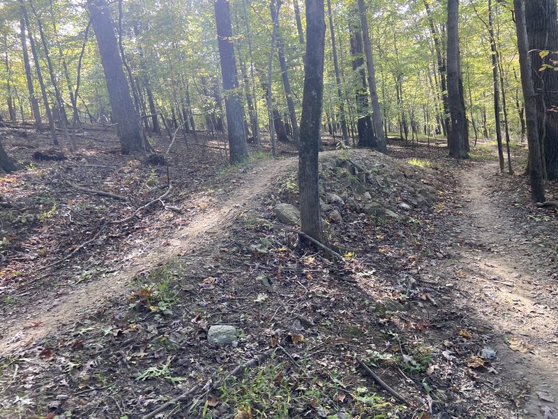 Great features on the Upper Rock Creek Trail.