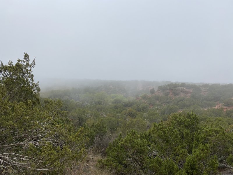 Looking across the valley.