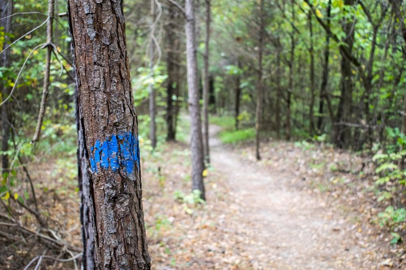 Trails are often well-marked.