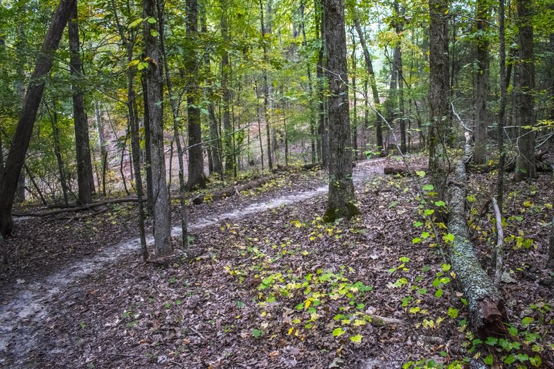 Great wooded scenery.