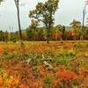 The trail gets started in a logging area, offering wrap around views.