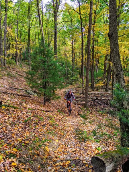 A nice subtle drop in elevation make this trail one of the best, rocks are manageable