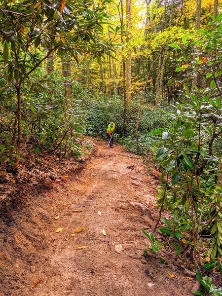 Trail work to clean up the very end of the trail before cooper road.