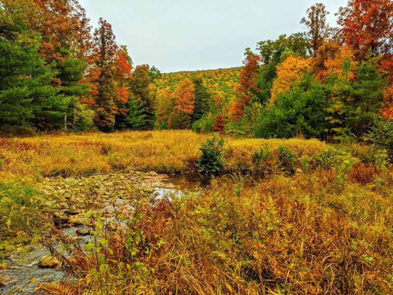 The trail ends at a stream along the gas line.