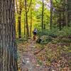 A nice blend of rock gardens and singletrack make this trail a great start.