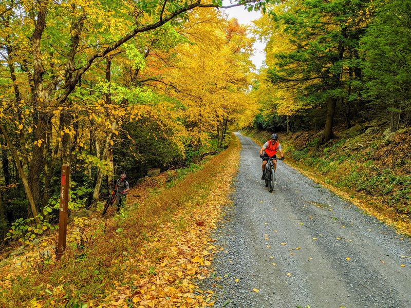 Top of the peep trail, one rider is smart and climbed the road, one rider pushes the top of the last climb