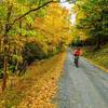 Top of the peep trail, one rider is smart and climbed the road, one rider pushes the top of the last climb