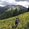 Lynsey crushing the singletrack amongst the wildflowers.