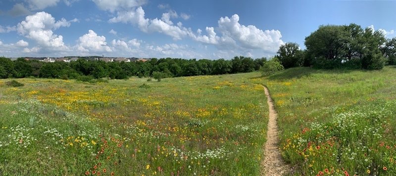 Spring blooms on the green loop