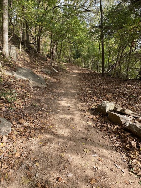 Bottom trailhead looking right.