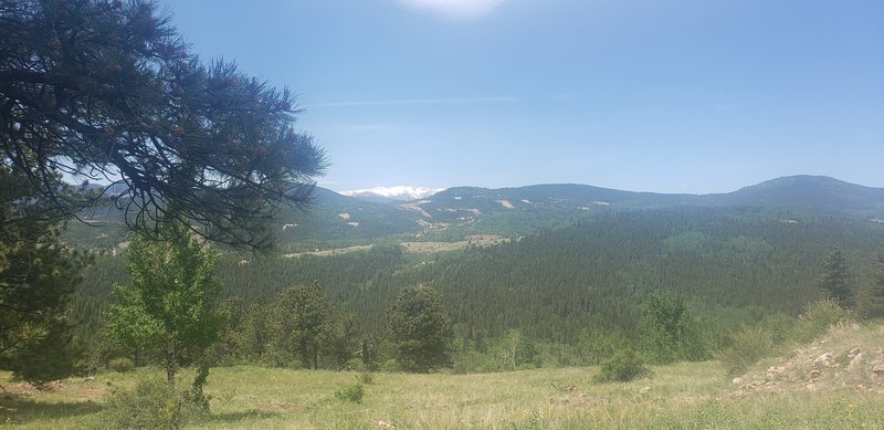 View from one of the interior meadows towards the Chase Reservoir and Central City