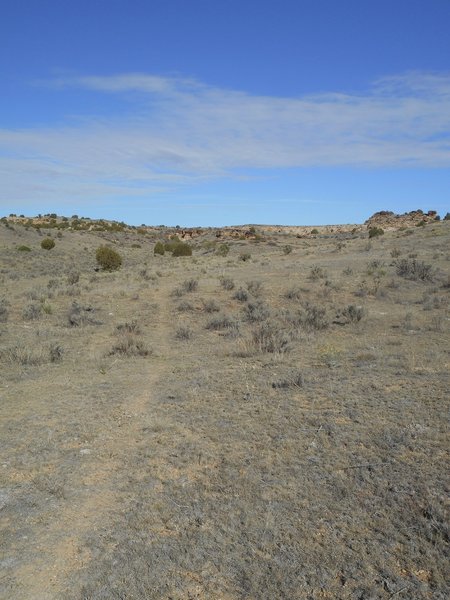 It's cow path but it's also a good singletrack.