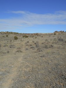 It's cow path but it's also a good singletrack.