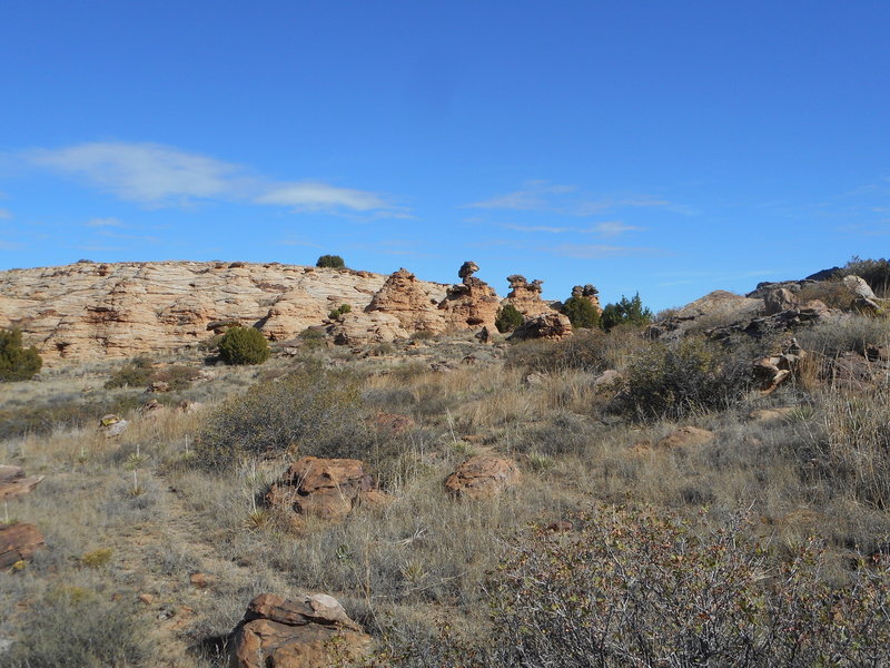 Hoodoos and petrified sand dunes.