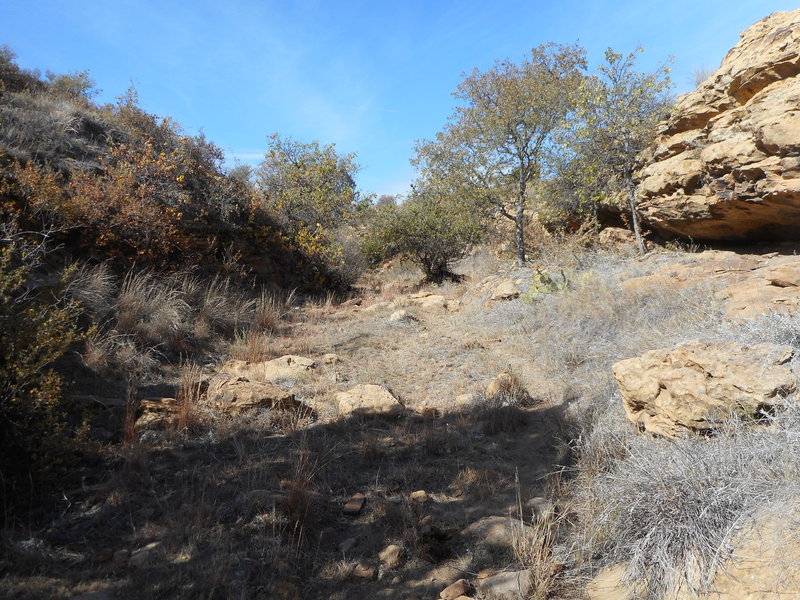 Homestead Trail