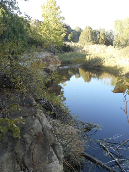 Carrizo Creek