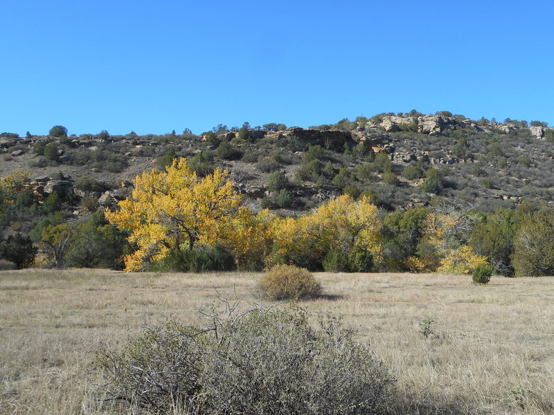 Fall colors in Cottonwood Canyon