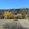 Fall colors in Cottonwood Canyon