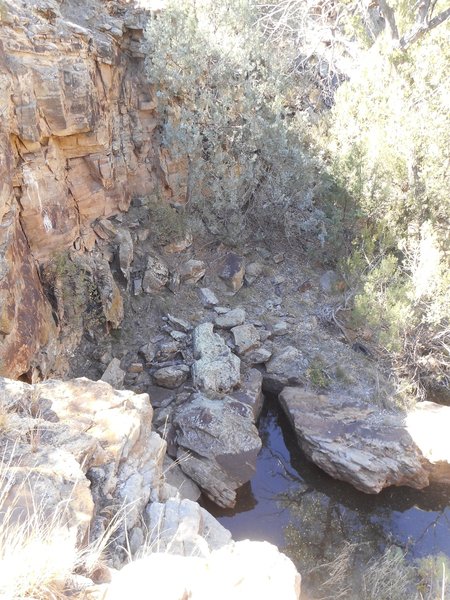 Waterfall and spring in side canyon.