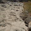 Dinosaur tracks in Carrizo Creek.