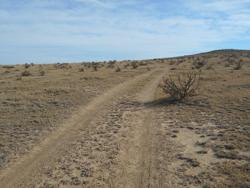 Typical dual track in Carrizo Canyon.