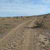 Typical dual track in Carrizo Canyon.