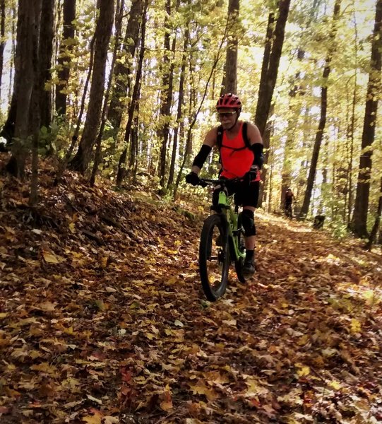 Fall colors on Fork Mountain Trail.