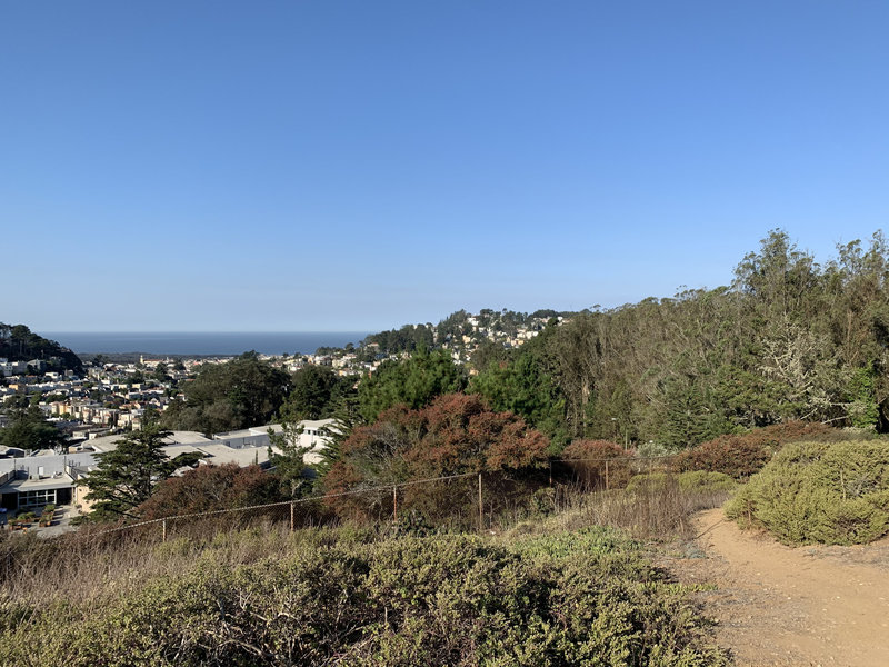 Start of Troop 88 Trail