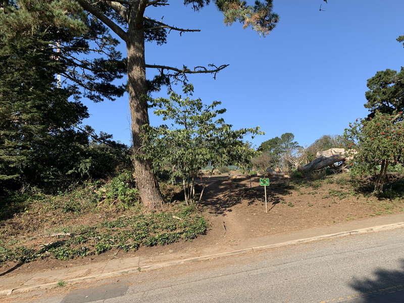 Start of Sutro Tower Trail