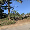 Start of Sutro Tower Trail