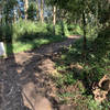 Top of Clarendon Connector/Historic Trail, looking up the South Ridge Trail, with the South Ridge/West Ridge connector 20m uphill on the left