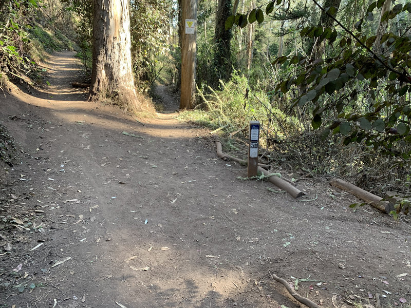 4-way intersection at the bottom of the North Ridge Trail. Right: Lower Historic, Straight: Edgewood Connector, Left: Upper Historic