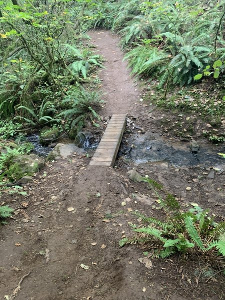 Skinny over a small creek.