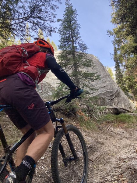 Climbing singletrack on Foolhen Trail.