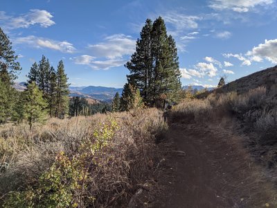 Buck Mountain Trail