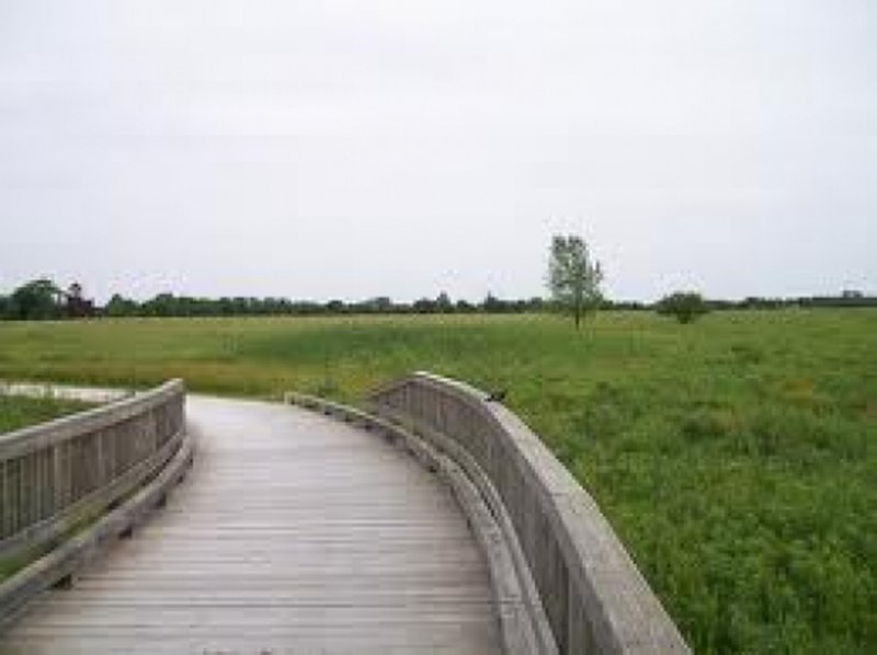 Wooden bridge