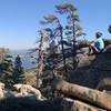 You'll be rewarded with a  beautiful view of Big Bear Lake at the top of Grays Peak!