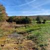 Looking out at Hensley's Pond at the very top of the "Green" Pond Loop. Right side of the photo is the trail over top of the dam and the picnic tables are on the left side of the photo.