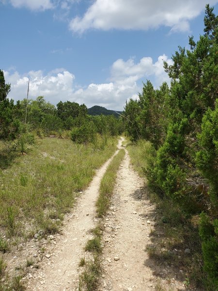 Doubletrack on part of the Spring Branch Trail.