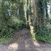 Northern end of Sutro Tower Trail