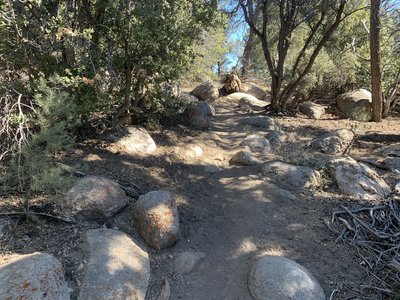Some of technical sections on "Dont Shoot Me" trail.