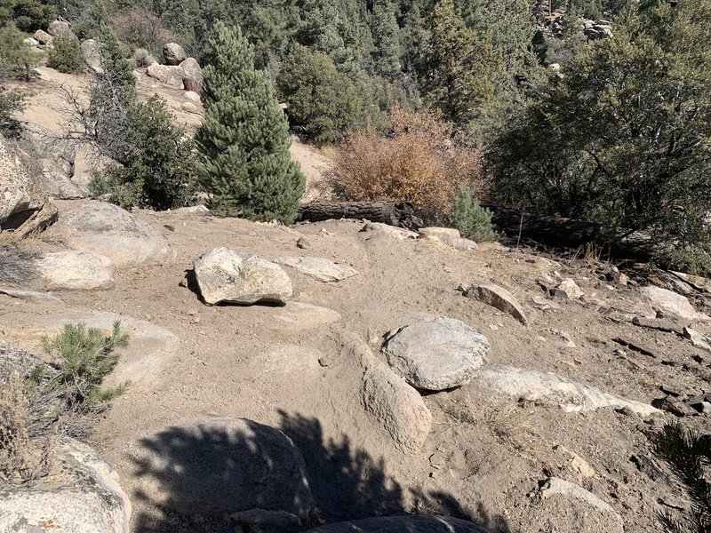 Short but steep downhill section at the end of "Dont Shoot Me" trail