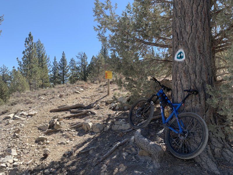 PCT trailhead from fire road