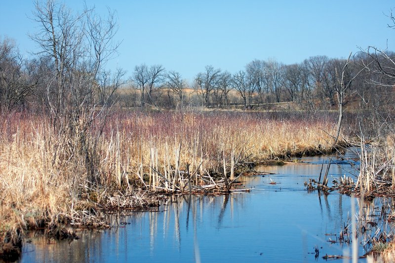 Wetlands.