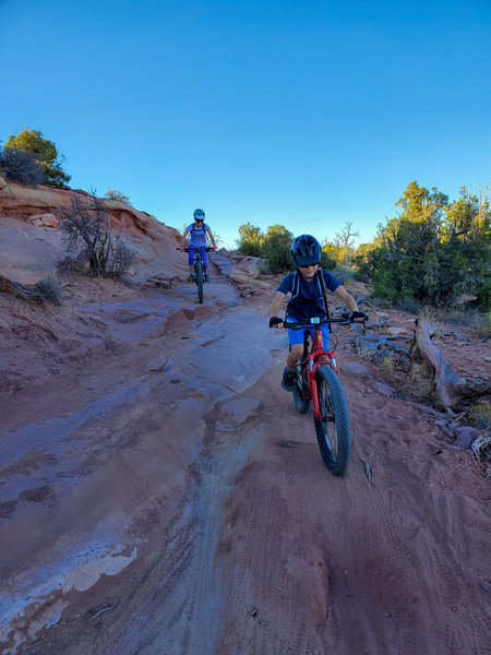 Kids loved this trail!