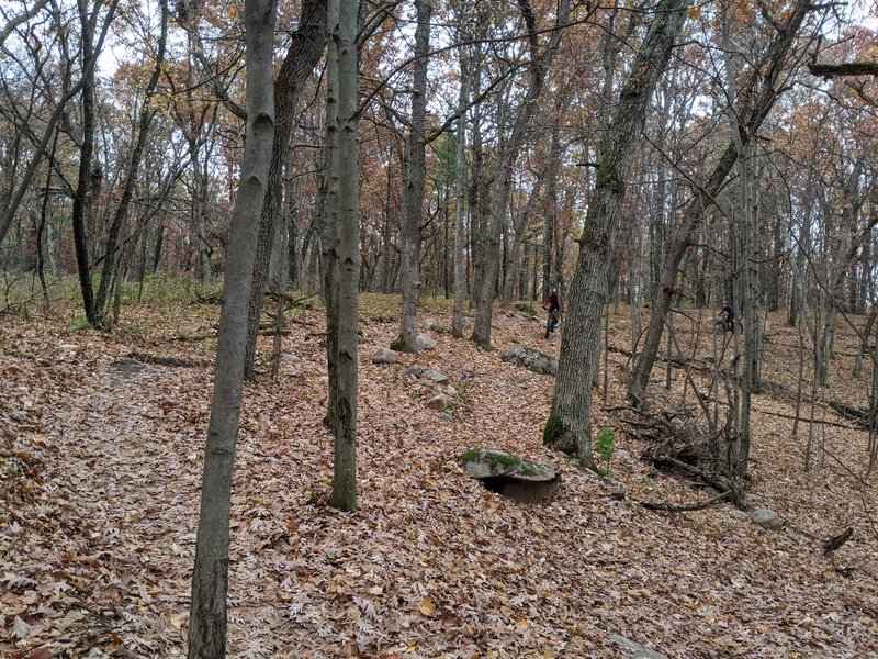 Blue flow trail in fall.