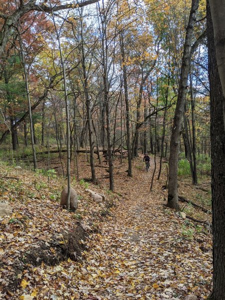 Blue Flow Trail