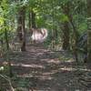 Wooden berm exiting to rocky singletrack.