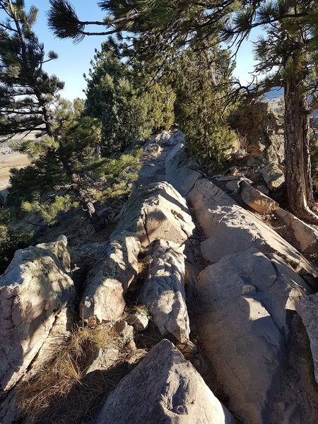 A tricky feature on Dakota Ridge - look close and you can see all the scrapes on the rocks from pedal strikes!