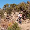 Top area, Windmill Singletrack